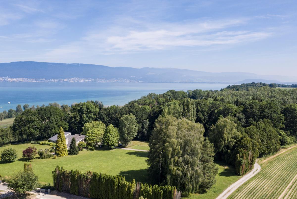 Cliquer pour plus d'informations